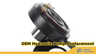 A10VG45-F02 et T13 et 45 photos 1