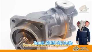 Moteur fixe à piston Axial A2FM63 Rexroth série 6, qualité OEM, prix d'usine, expédition rapide, vitrine