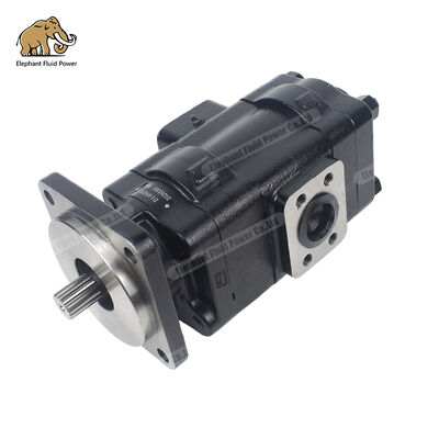 D149283 Alternative compatible avec la pompe à engrenages en fonte Parker | Parfaitement compatible